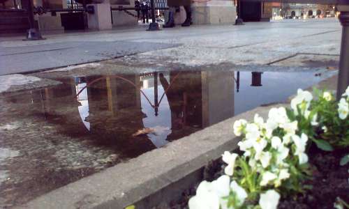 Grób Nieznanego Żołnierza - kałuża