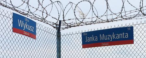 Wykusz Janka Muzykanta 0