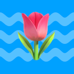 KWIAT-TULIPAN-150x150